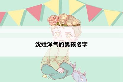 沈姓洋气的男孩名字