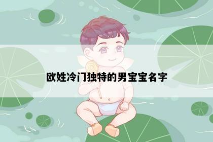 欧姓冷门独特的男宝宝名字