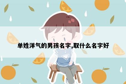 单姓洋气的男孩名字,取什么名字好