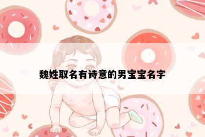 魏姓取名有诗意的男宝宝名字